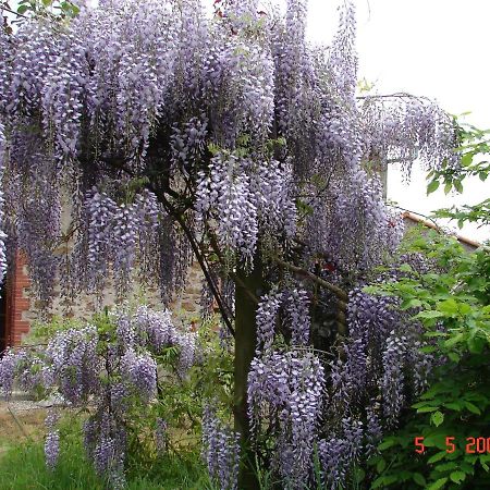 Gite Climatise De La Haute Rue Touvois Экстерьер фото