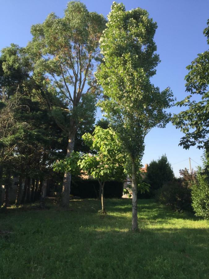 Gite Climatise De La Haute Rue Touvois Экстерьер фото